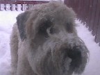 Drinking Snow is fun!