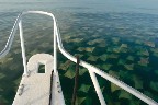 isnt that so cool? its taken on a boat looking at those sting ray-like things!