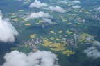 Mustard in bloom over the German countryside
