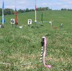Can you say "Lawn Dart" -- or else it is a lost tip to a local jousting faire.