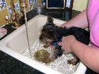 Eyackkk! Soap and water!