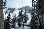 A wonderful view up the gondola line... check out the mogul field