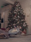 hanging by the tree