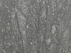 Snow before New Year