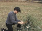 releasing holiday angst