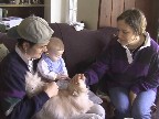 kitties are soft