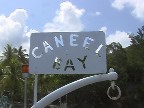 until next year, caneel!