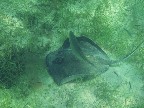 hawksnest bay, beneath the waves