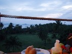 dinner with a view