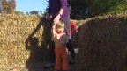 exploring the little corn maze
