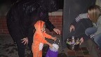 first trick or treat