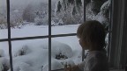 winter wonderland